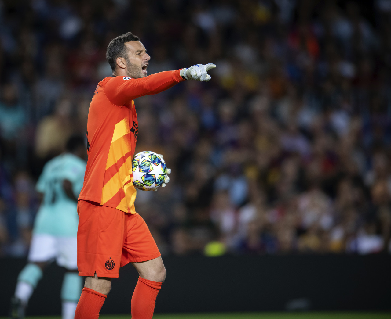 么强大的对 么强大的对